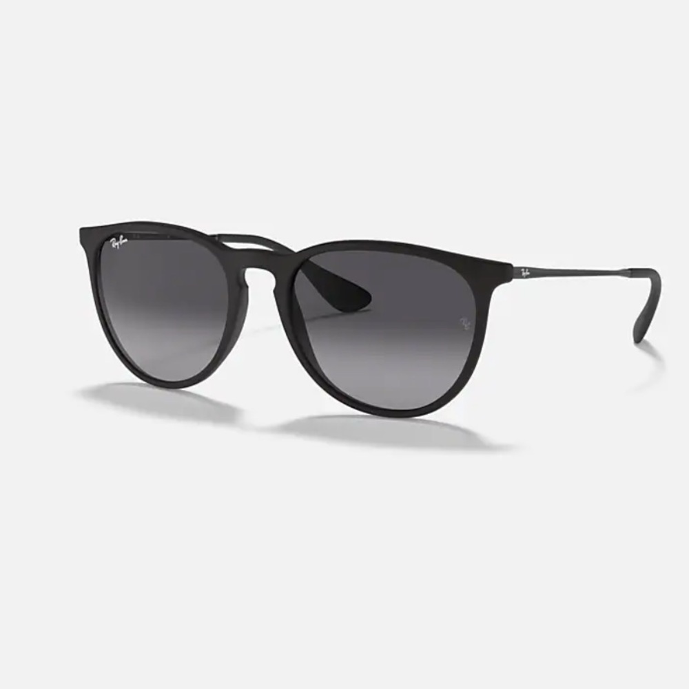 Ray Ban Erika Sunglasses